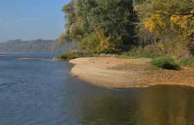 Dolina Dolnej Wisły