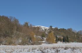 Zima