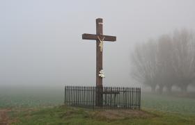 Dolina Dolnej Wisły