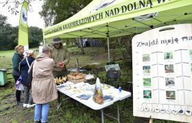 Festiwal Smaku Gruczno 2024