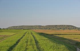 Góry Łosiowe