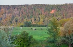 Góry Łosiowe