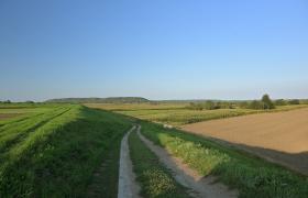 Góry Łosiowe