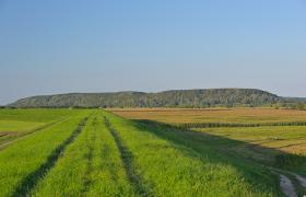 Góry Łosiowe