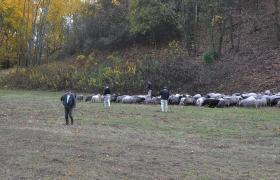 III Dolnowiślański Redyk Gruczno 2018