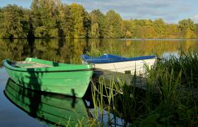 Autum