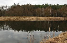 Rzeka Mątawa