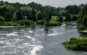 Rzeka Wda