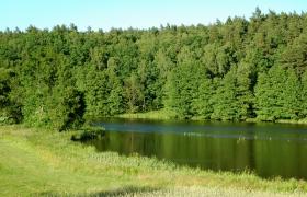 Rzeka Wda