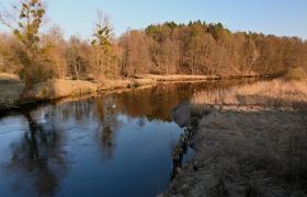 Rzeka Wda
