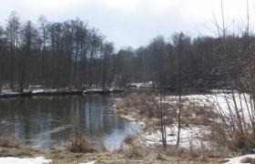 Rzeka Wda