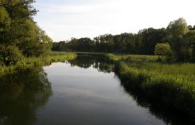 Rzeka Wda