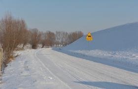 Zima
