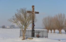 Dolina Dolnej Wisły