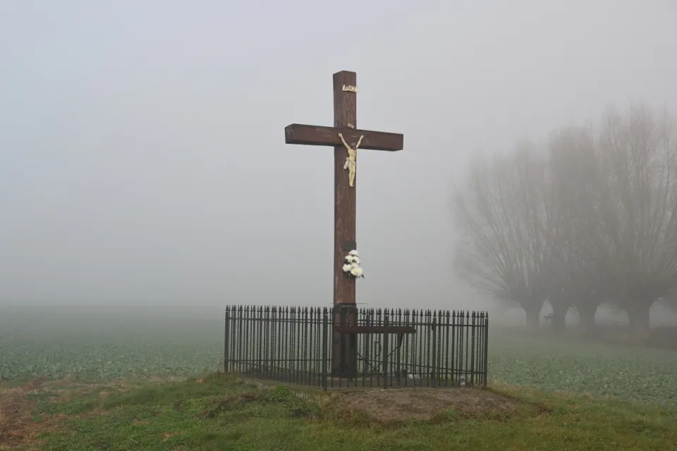 Dolina Dolnej Wisły