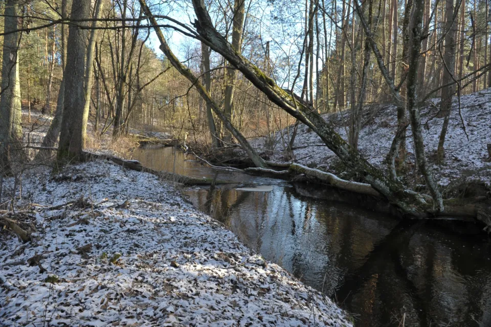 Rzeka Mątawa