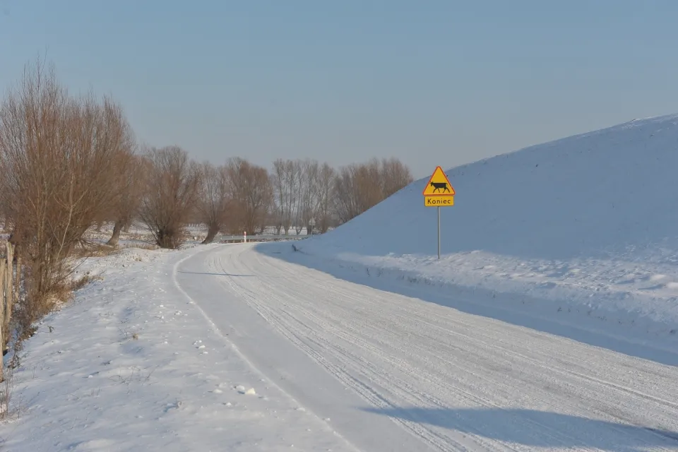 Zima